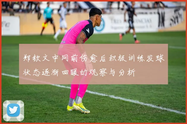 郑钦文中网前伤愈后积极训练发球状态逐渐回暖的观察与分析